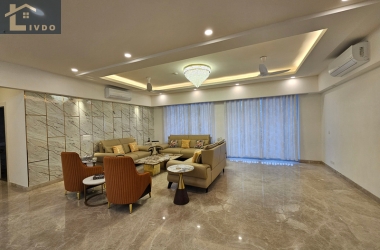 Modern interior design for living room by LIVDO in Delhi NCR